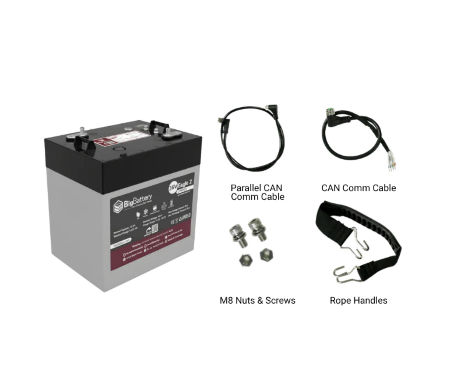 BigBattery LiFePO4 Battery | 36V 40Ah 1.54kWh | EAGLE 2