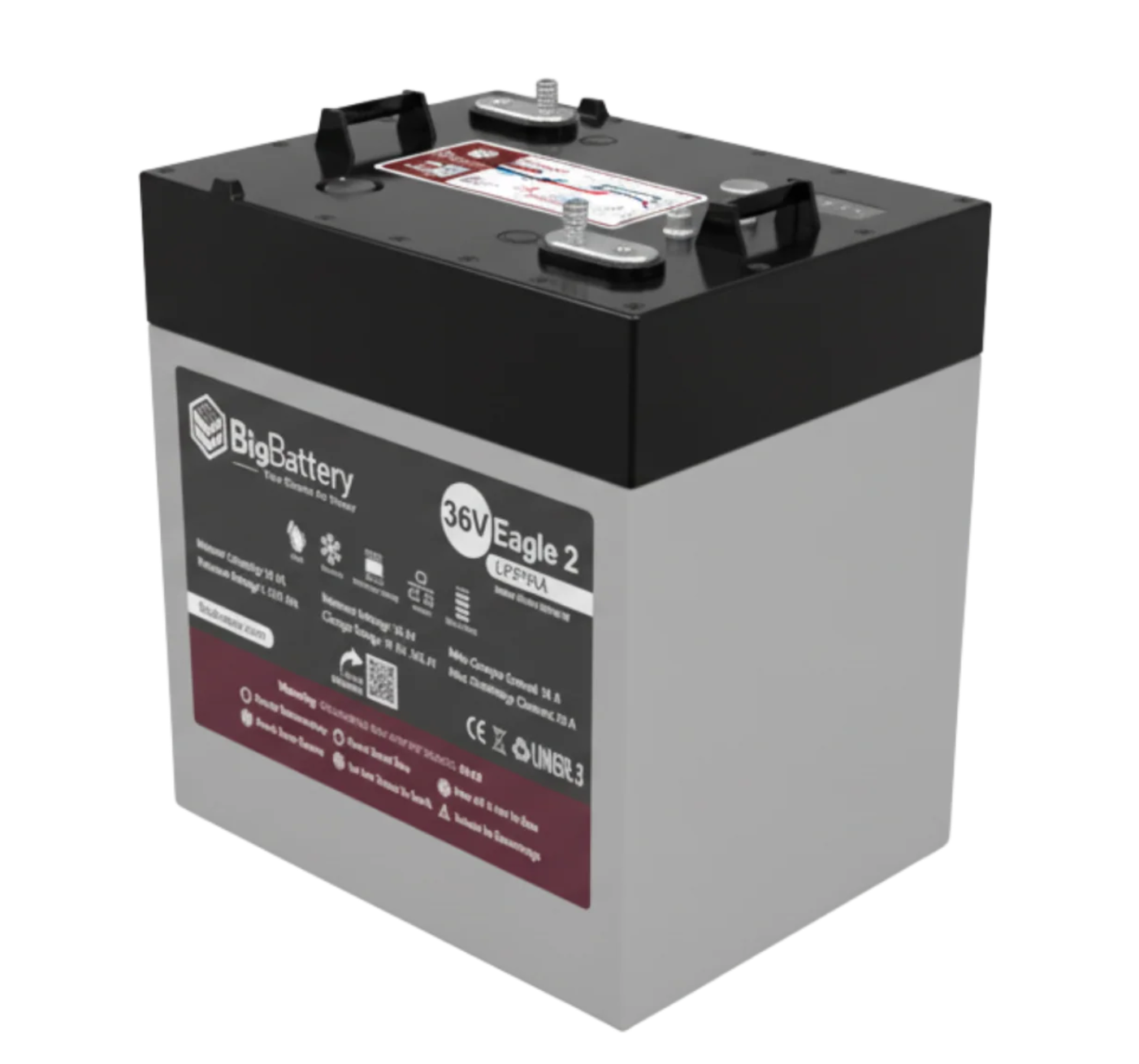 BigBattery LiFePO4 Battery | 36V 40Ah 1.54kWh | EAGLE 2